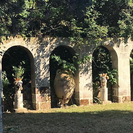 La Gallina Felice B&B メタ エクステリア 写真